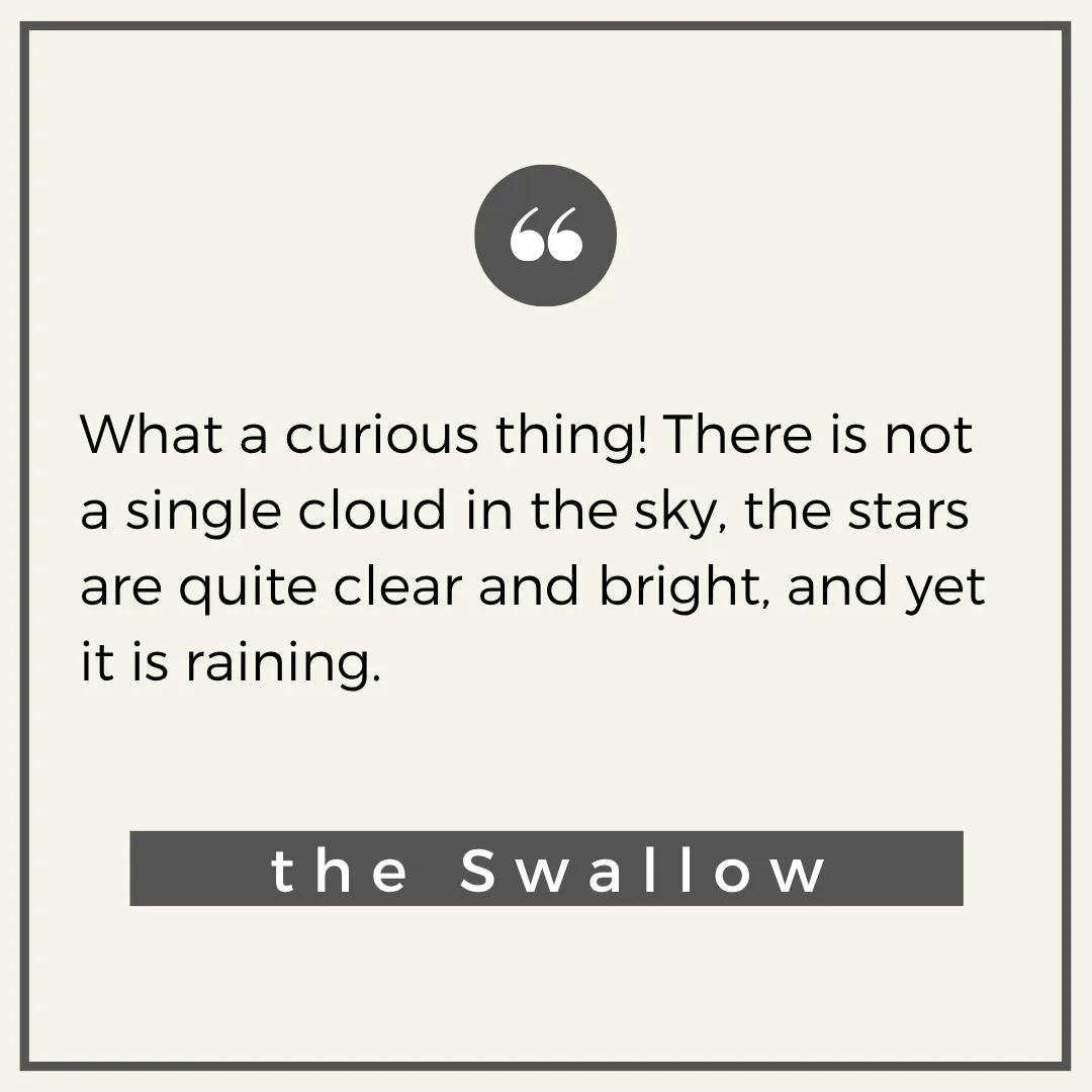 英語学習をしていると、洋書への憧れは避けられませんよね。